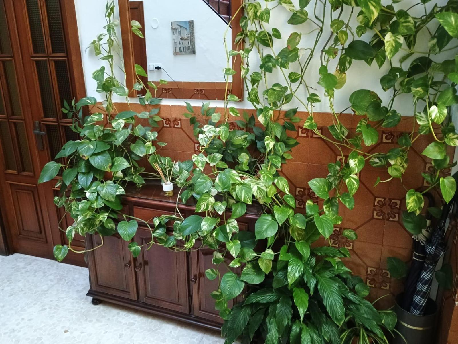 Appartement Casa Matbel à Cordoue Extérieur photo